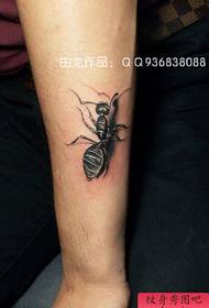 male arm cute pop small ant tattoo pattern