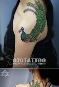 красива татуировка феникс на красиво рамо