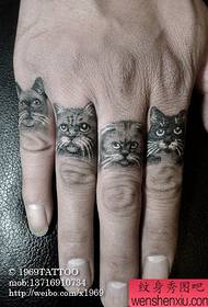 fiú ujj aranyos pop macska tetoválás minta