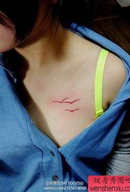 jente brystet liten måke tatoveringsmønster