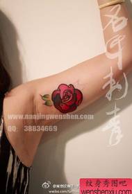 mazs un skaists, mazs rožu tetovējuma raksts meitenes rokas iekšpusē