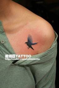 소녀의 어깨에 작고 인기있는 작은 비둘기 문신 패턴