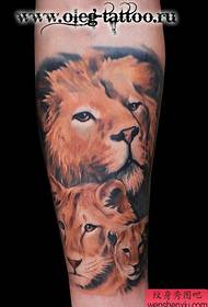 Arm handsome classic color lion head tattoo pattern