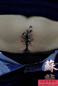 女性腹部流行时尚的小树与小鸟纹身图案