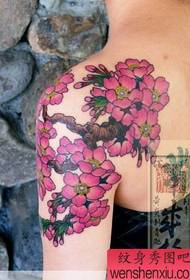 Nagtatrabaho ang Japanese tattoo artist na balikat na kulay cherry tattoo