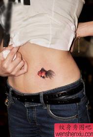 modello del tatuaggio del pesce rosso piccolo di colore della pancia delle ragazze