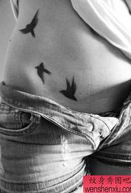 ragazza addome totem uccello piccolo rondine tatuaggio modello