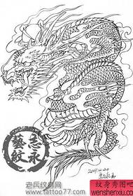 handsome shawl dragon tattoo Line draft