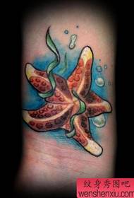 cute tattoo pattern: cute starfish tattoo pattern picture