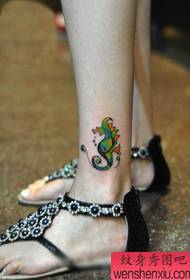 gyönyörű színű hippokampusz tetoválás mintája 171186 - lány mellkasi gyönyörű hópehely tetoválás mintázat