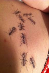 abdominal swartgriis realistyske kleur ant groep tattoo patroan