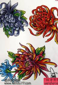 Tatuiruotės rankraštis: Spalvota chrizantemos tatuiruotės rankraštis