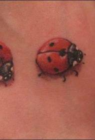 three cute scoops Insect tattoo pattern