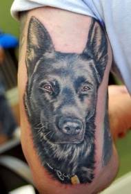 Αρσενικό βραχίονα ρεαλιστική γερμανική Shepherd Tattoo εικόνα