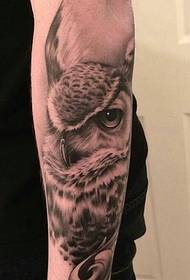 炯炯 God's arm small Owl tattoo picture