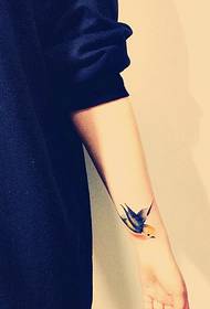 elegant good-looking arm small swallow tattoo picture