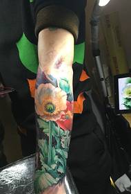 рука білки витягнута татуювання тотем
