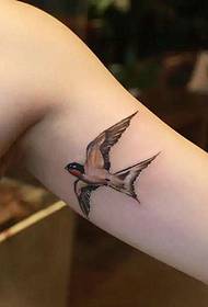 maža kregždės tatuiruotė, laisvai skraidanti rankos viduje