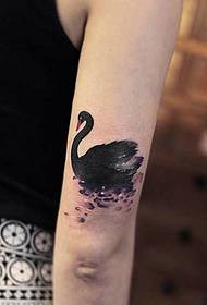 Little Swan tattoo picture in the water freely